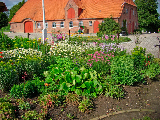 Ferienhaus in Bliesdorf - Landhaus Loose - Hofimpressionen