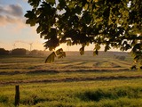 Ferienwohnung in Kabelhorst - Kripke - Wir haben eine tolle Aussicht