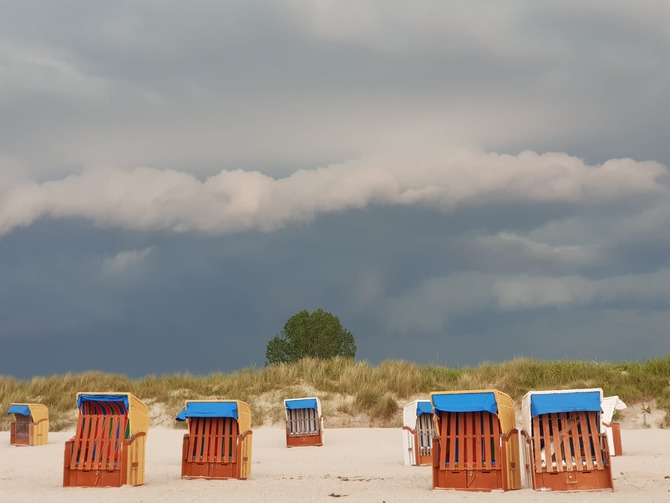 Ferienwohnung in Kükelühn - Ferienhof Blöhs - Sehlendorfer Strand