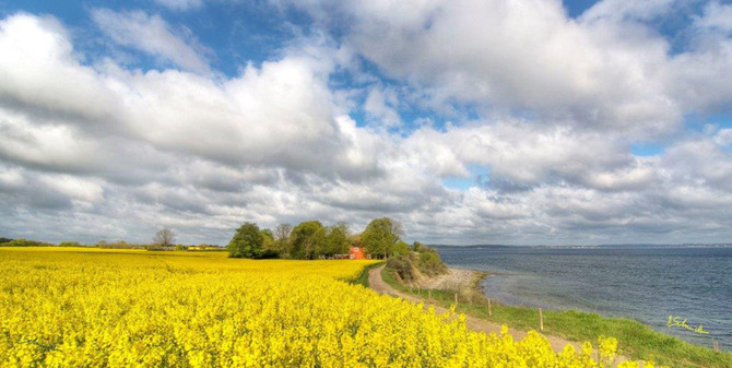 Ferienwohnung in Timmendorfer Strand - Seepferdchen 6 - Bild 10