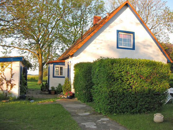 Ferienwohnung in Lancken - Wetterfrosch - Bild 7