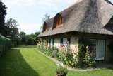 Ferienhaus in Döhnsdorf - Landhaus Unter dem Reetdach - Ansicht von Süd