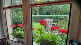 Ferienwohnung in Sellin - Ferienwohnung Schernau - Bild 9