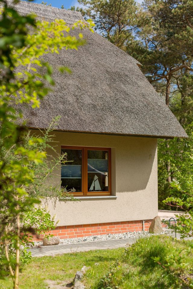 Ferienwohnung in Wustrow - reetgedecktes FH am Deich 2/1 - Bild 3