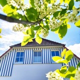 Ferienwohnung in Zingst - Kranichwiese FW 1 - Bild 2
