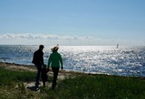 Ferienwohnung in Fehmarn - Knusthof Lafrenz - Süd - Bild 14