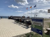 Ferienwohnung in Großenbrode - Meerblickvilla 21 - Bild 19