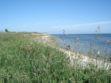 Ferienhaus in Fehmarn OT Wulfen - "CASA-MARE" Fehmarn - Bild 17