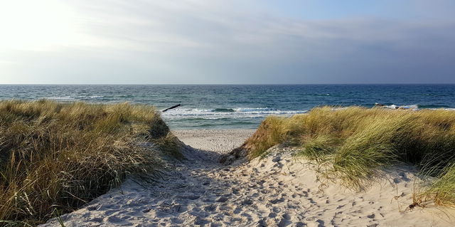 Ferienwohnung in Wustrow - Strandlöper - Bild 19