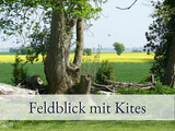 Ferienwohnung in Fehmarn OT Sulsdorf - Hirschfeld Hus (9168/II) - Fehmarn - Bild 22