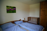 Ferienwohnung in Dahme - Süße Wohnung direkt am Wald (rotes Haus EG) - Bild 4