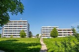 Ferienwohnung in Kellenhusen - FeWo Diebel - IFA 1-2-2 - Bild 1