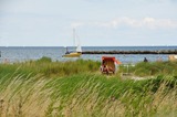 Ferienwohnung in Wendtorf - Marina Wendtorf Heimathafen - Bild 21