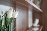 Ferienwohnung in Haffkrug - Haus Waldfrieden Ferienhäuschen Waldfrieden - Bild 23