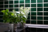 Ferienwohnung in Dahme - Berolina Wohnung 100 - Bild 23