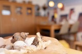 Ferienwohnung in Süssau - Meerblick 1.16 - Bild 16