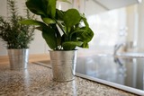 Ferienwohnung in Timmendorfer Strand - Haus Seepferdchen am Meer Appartement 5 - Bild 15
