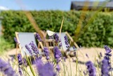Ferienhaus in Travemünde - Strandhus - Bild 15