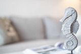 Ferienwohnung in Fehmarn OT Burgtiefe - Stranddistel 2 Strandvergnügen - Bild 6